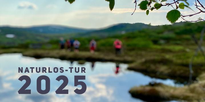 Bilde/illustrasjon for Naturlos-tur og kulturvandring i Bortelid Naturlos-tur og kulturvandring i Bortelid