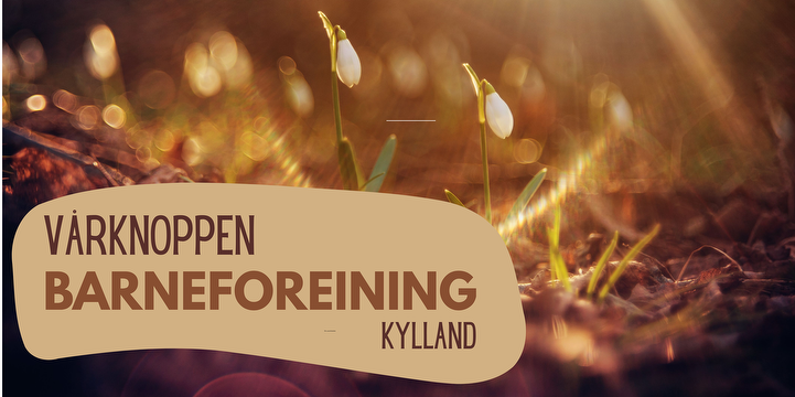 Bilde/illustrasjon for Barneforeining på Kylland Barneforeining på Kylland